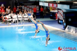 综合格斗最高赛事百科欧洲自由游泳海滩足球集锦世界杯世界泳坛十大名人
